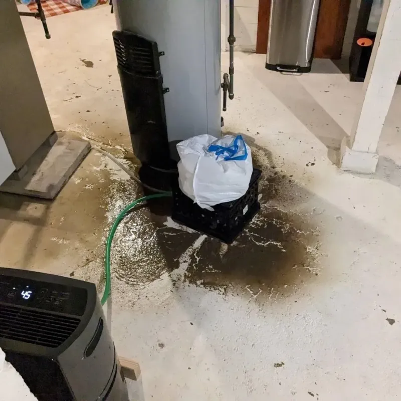 Sewage Backup Cleanup Service in Healy, AK